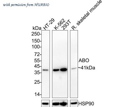 HUABIO HA722455 image 1