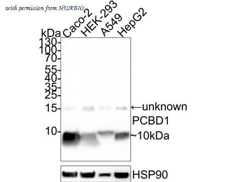 HUABIO HA722464 image 1