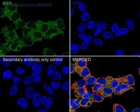 HUABIO HA722468 image 2