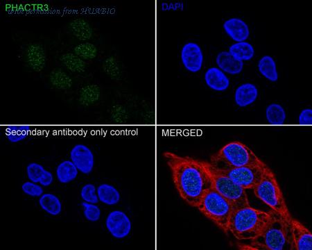 HUABIO HA722506 image 2