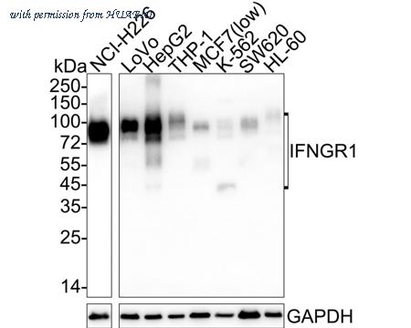 HUABIO HA722508 image 1
