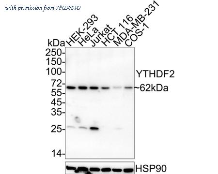 HUABIO HA722514 image 1