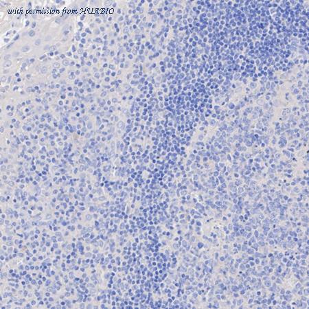 HUABIO HA722518 image 2