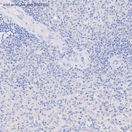 HUABIO HA722518 image 3