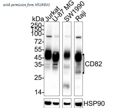 HUABIO HA722533 image 1