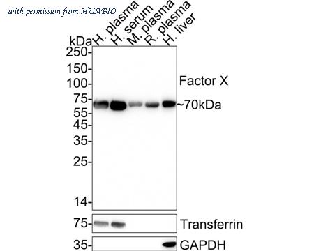 HUABIO HA722535 image 1