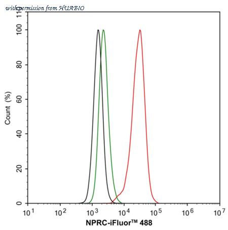 HUABIO HA722538 image 2