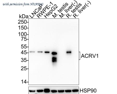 HUABIO HA722543 image 1