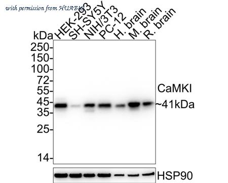 HUABIO HA722544 image 1