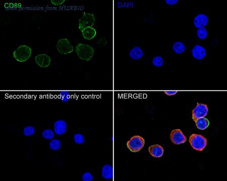 HUABIO HA722549 image 2