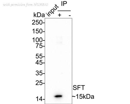 HUABIO HA722578 image 2