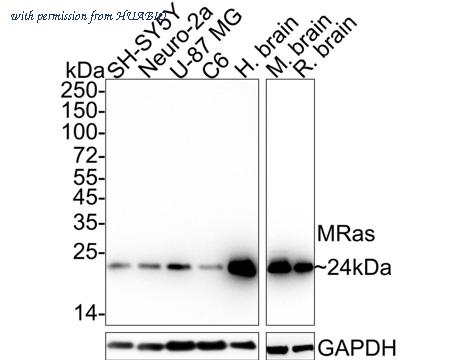 HUABIO HA722579 image 1