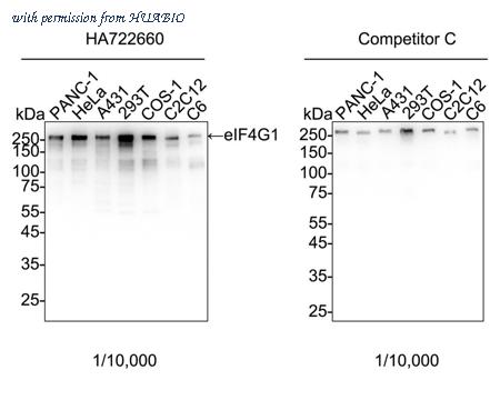 HUABIO HA722660 image 1
