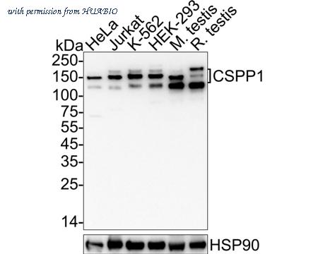 HUABIO HA722664 image 1