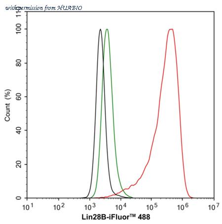 HUABIO HA722688 image 3