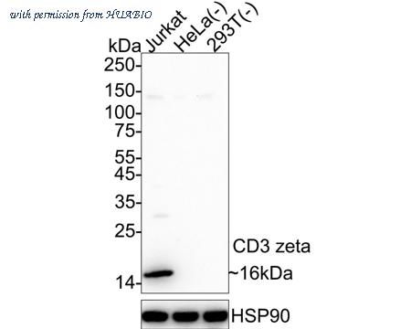HUABIO HA722692 image 1