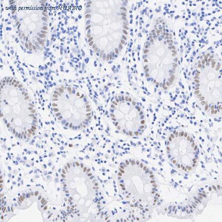 HUABIO HA722702 image 3