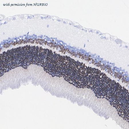 HUABIO HA722707 image 3