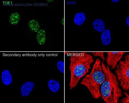 HUABIO HA722708 image 2