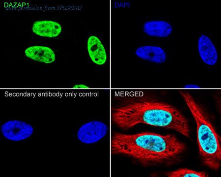 HUABIO HA722710 image 2