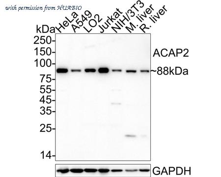 HUABIO HA722712 image 1