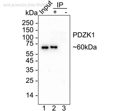 HUABIO HA722729 image 2