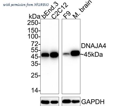 HUABIO HA722730 image 2