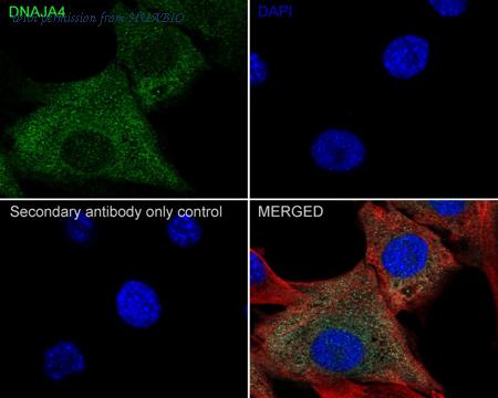 HUABIO HA722730 image 3