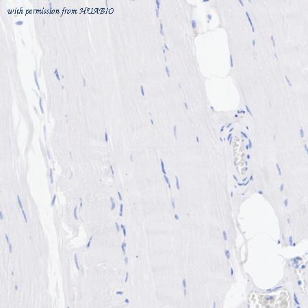 HUABIO HA722733 image 3