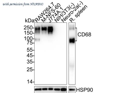 HUABIO HA722737 image 1