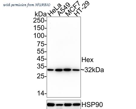 HUABIO HA722753 image 1