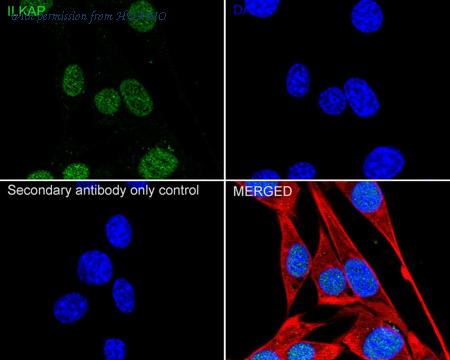 HUABIO HA722759 image 3