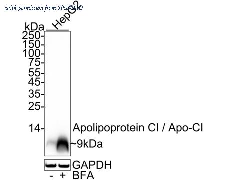 HUABIO HA722783 image 1