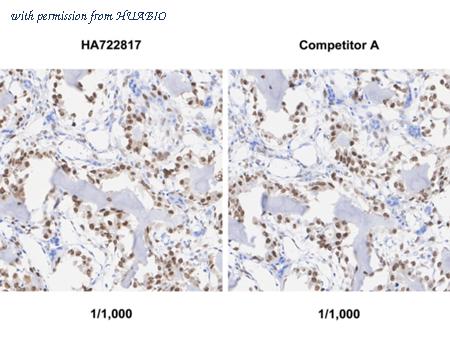 HUABIO HA722817 image 2