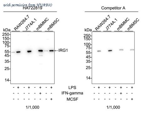 HUABIO HA722819 image 1