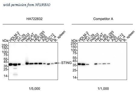 HUABIO HA722832 image 1