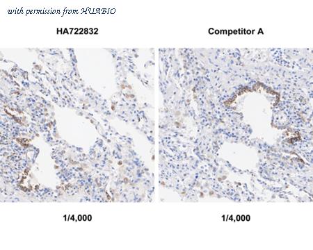 HUABIO HA722832 image 2