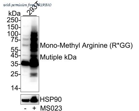 HUABIO HA722840 image 1