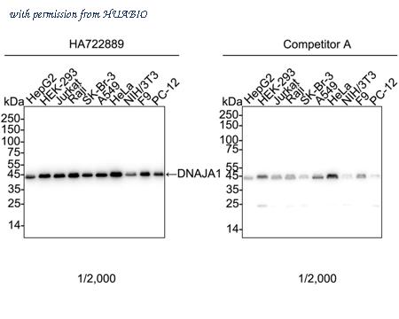 HUABIO HA722889 image 1