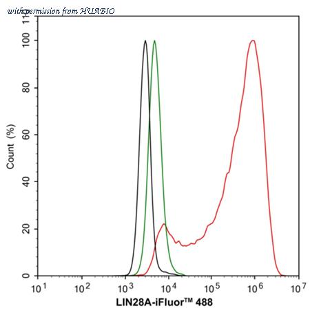 HUABIO HA722899 image 3