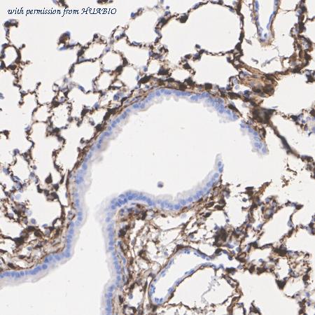 HUABIO HA722900 image 3