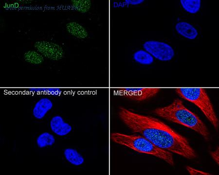 HUABIO HA722913 image 2