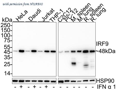 HUABIO HA722916 image 1
