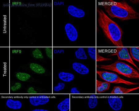 HUABIO HA722916 image 3