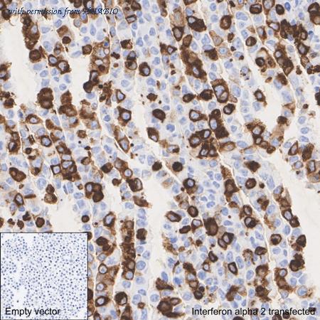 HUABIO HA722967 image 3