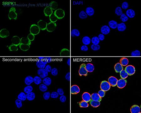 HUABIO HA722970 image 2