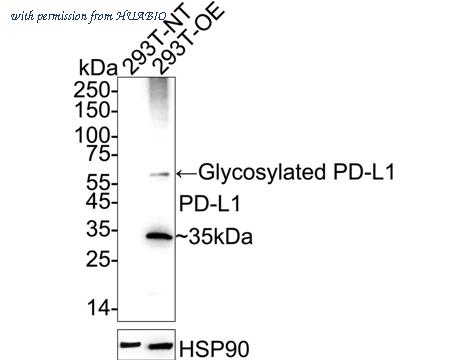 HUABIO HA723002 image 1