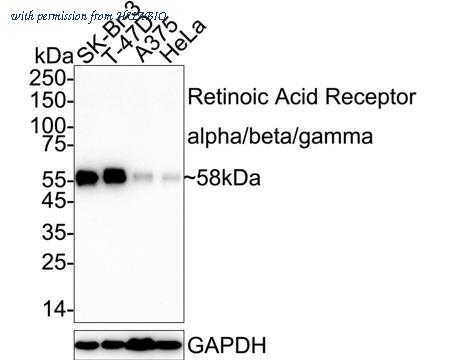 HUABIO HA723026 image 1
