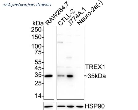 HUABIO HA723036 image 1