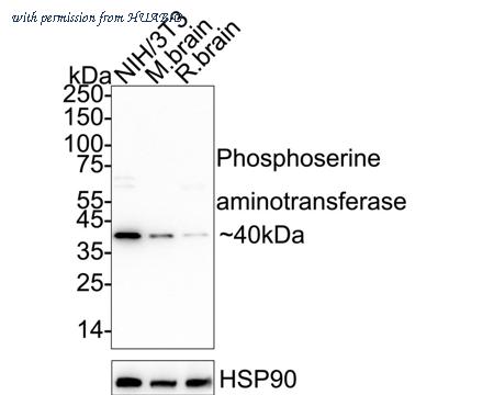 HUABIO HA723052 image 1